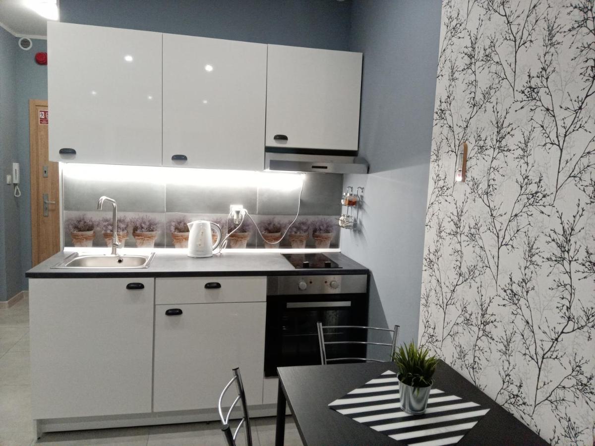 Apartment Roza- Lotnisko